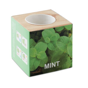 munt in houten pot
