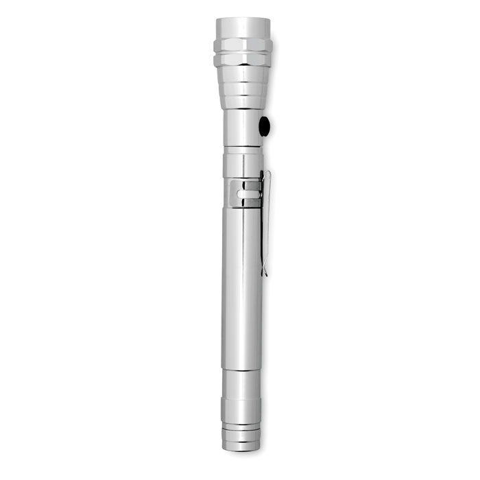 Extendable torch