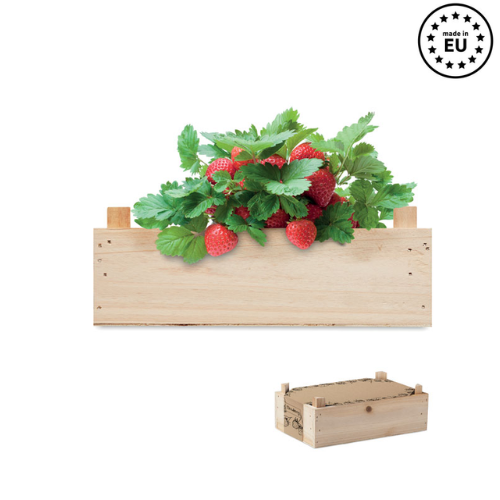 STRAWBERRY