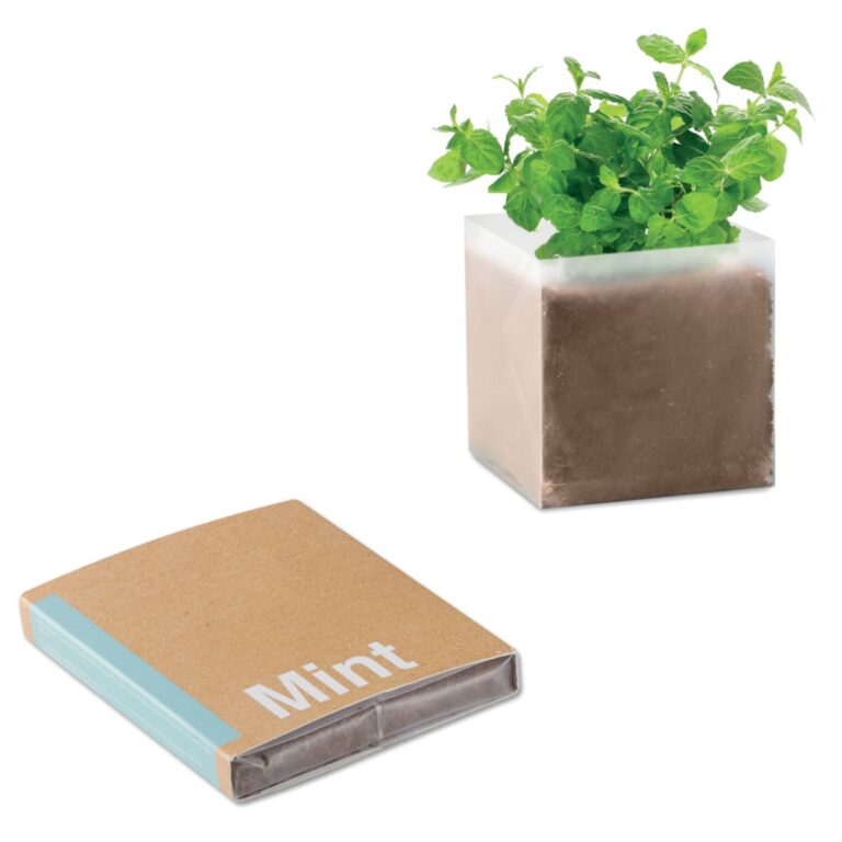 Gadget with logo MINT seeds