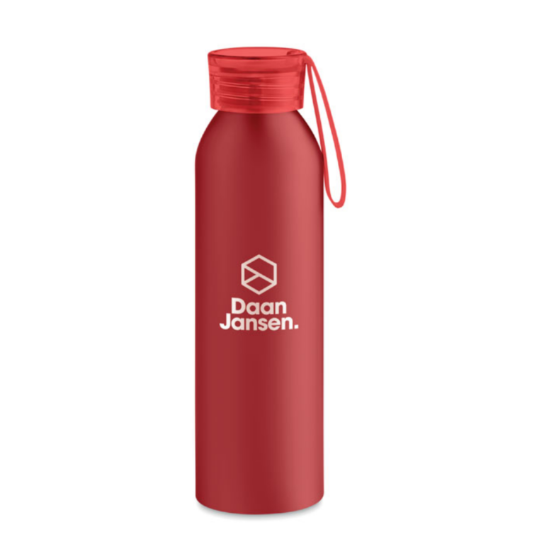 Water bottle with logo NAPIER