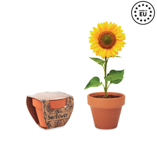Gadget with logo Terracotta pot SUNFLOWER