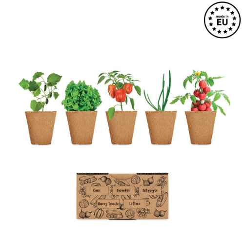 Gadget with logo growing kit SALAD
