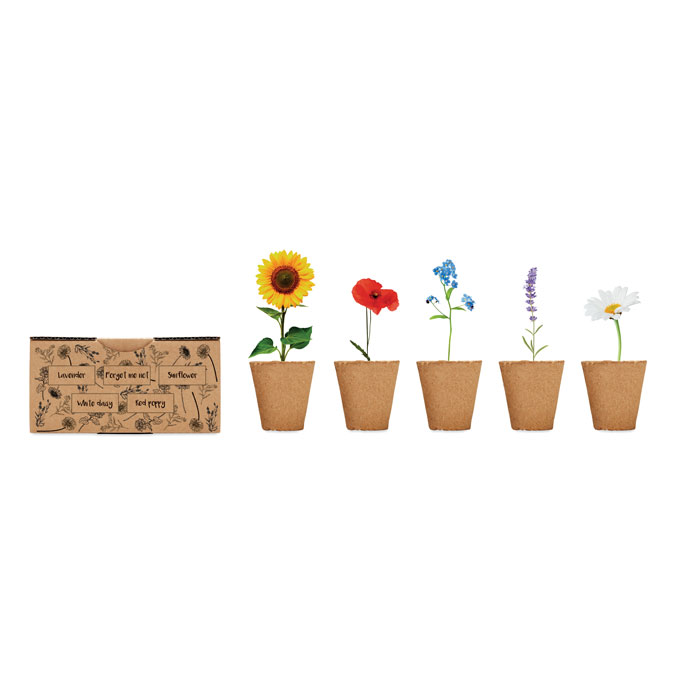 Gadget with logo growing kit FLOWERS - Image 5