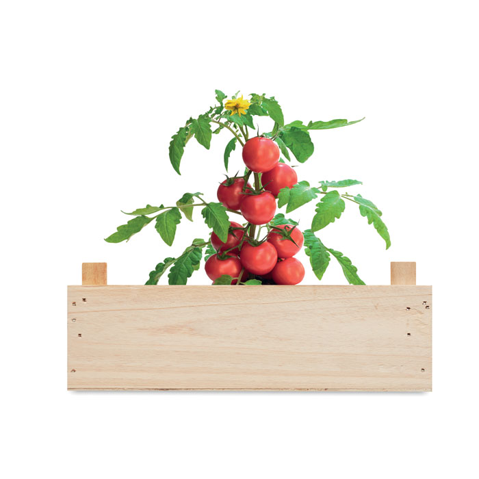 Gadget with logo TOMATO kit – Image 4