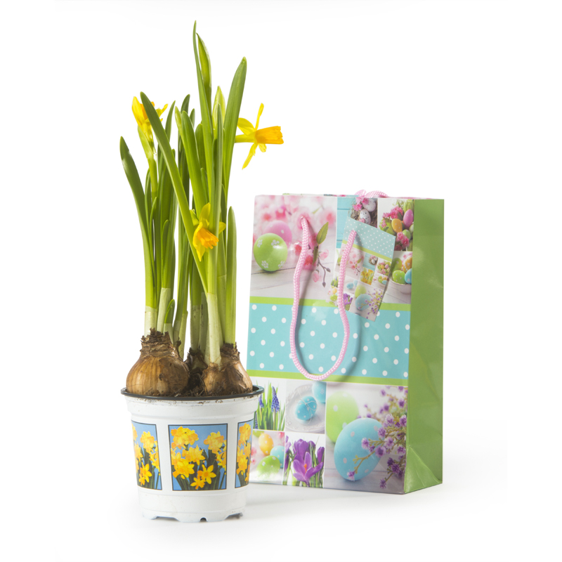 Flowers with logo Easter This Easter, give a gift they won't forget in a gift bag they won't forget! The perfect flowers for Easter. Comes with a bag and can be personalized with logo. Our Easter Flowers Personalised Gift Bag is packed full of cuteness, with full colour fun and a playful design. You won't find a more egg-straordinary gift to make someone's Easter! Magnus Business Gifts is your partner for merchandising, gadgets or unique business gifts since 1967. Certified with Ecovadis gold!