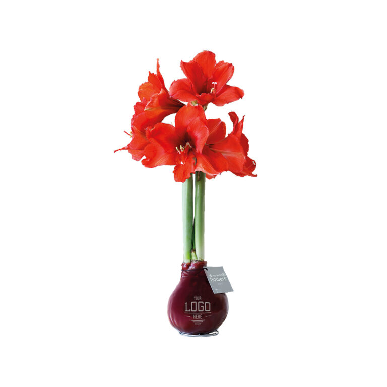 Gadget with logo No water flower colors