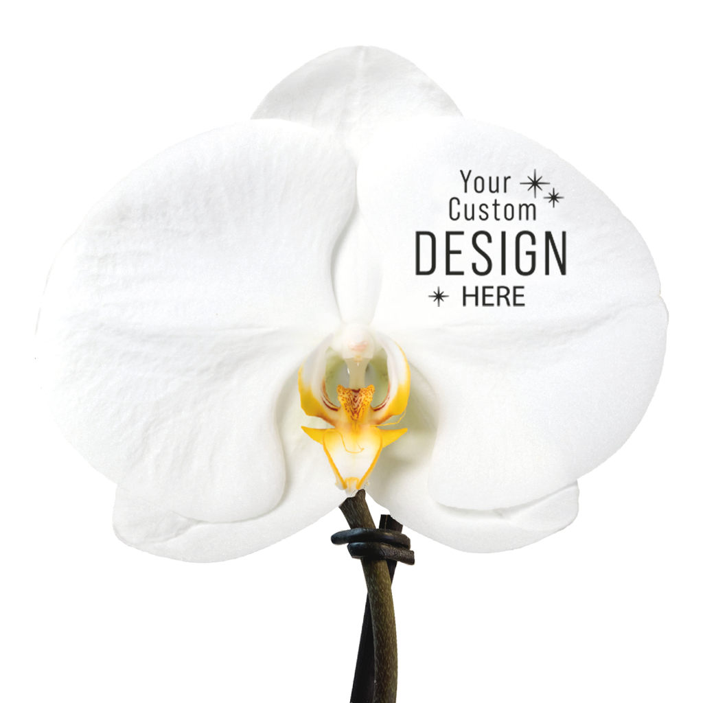Gadget with logo Orchid Gadget with logo single-flowered luxurious orchid. Give a truly valuable gift with this unique orchid that will certainly not end up in the bin. This exceptional flower can be perfectly personalized with your logo or design on the flower. Comes with personalized FSC-certified gift box with a back card or leave a message by attaching a separate card. Depending on the surface we can use embroidery, engraving, 360° imprint or screen print.