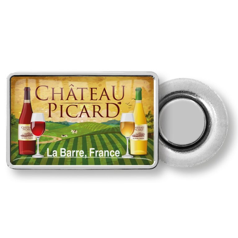 Custom made magnet pin