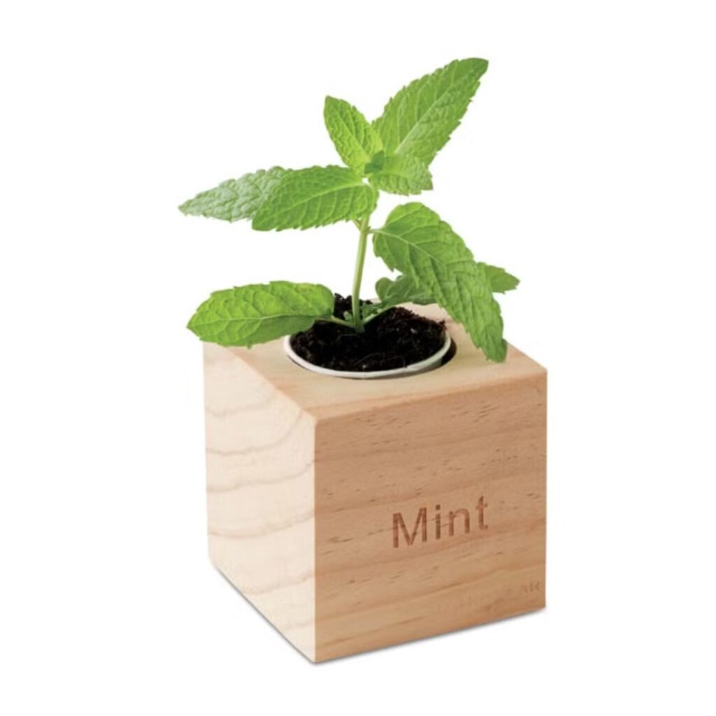 Eco gadgets mint A GREENER AND SMARTER CHOICE By choosing Eco gadgets printed with your logo, you can show your commitment to sustainability while also providing a useful and thoughtful gift to your clients or employees. This shows you care about your people as well as the environment. What’s more, environmentally-friendly gadgets are becoming more and more popular. So why not aim to achieve the maximum impact on your business relationships and the minimum impact on the environment with personalized Eco gadgets branded with your logo! Ask our team now what you can do with your budget.