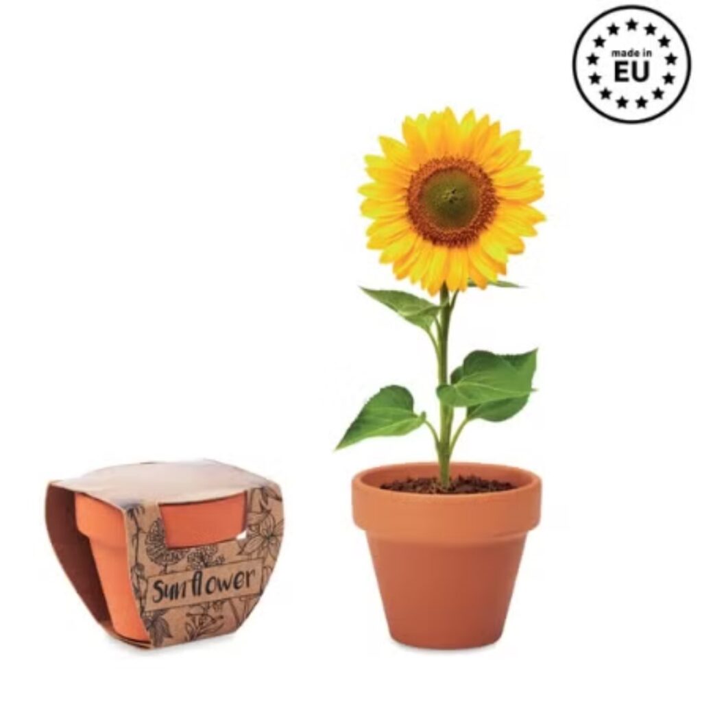 Eco gadgets sunflower A GREENER AND SMARTER CHOICE By choosing Eco gadgets printed with your logo, you can show your commitment to sustainability while also providing a useful and thoughtful gift to your clients or employees. This shows you care about your people as well as the environment. What’s more, environmentally-friendly gadgets are becoming more and more popular. So why not aim to achieve the maximum impact on your business relationships and the minimum impact on the environment with personalized Eco gadgets branded with your logo! Ask our team now what you can do with your budget.
