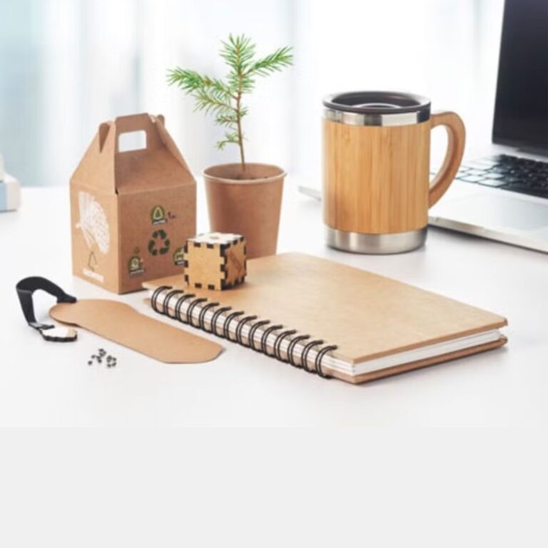 Eco 1
