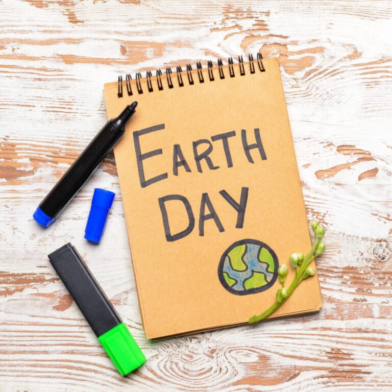 sustainability efforts 8