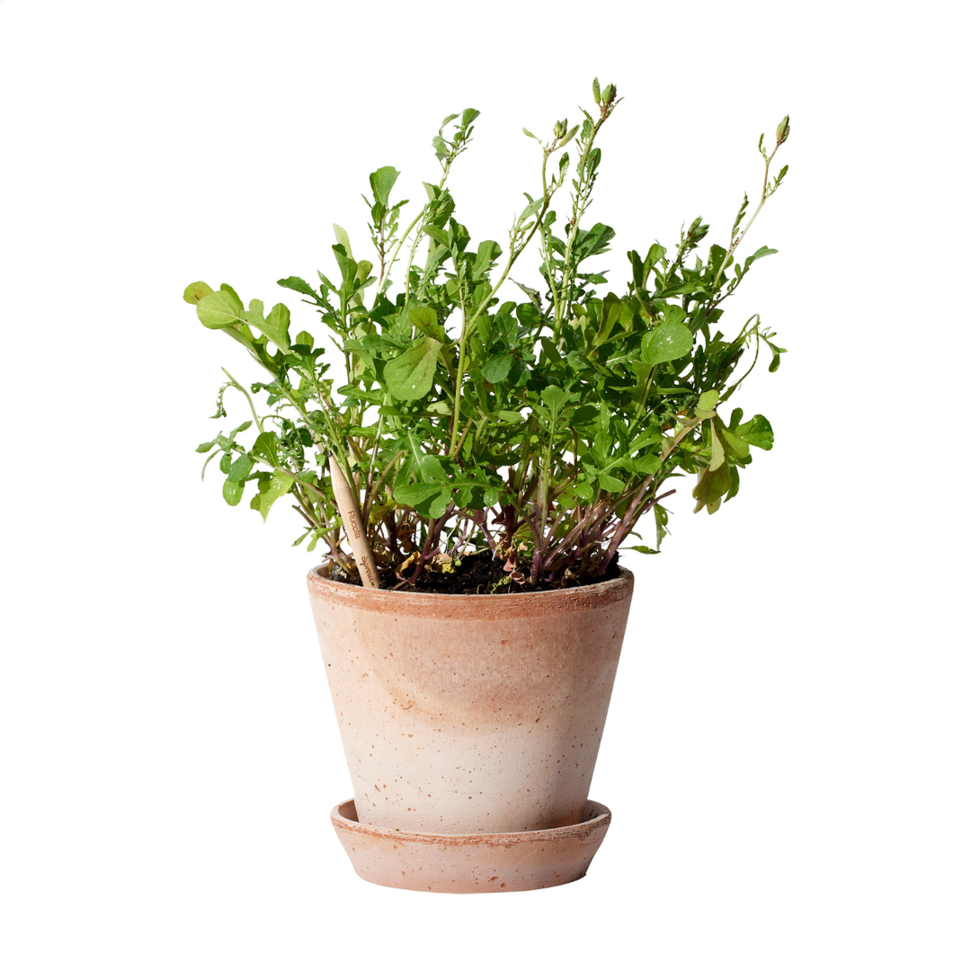 Sproutworld (UN)Sharpened Pencil - Image 14
