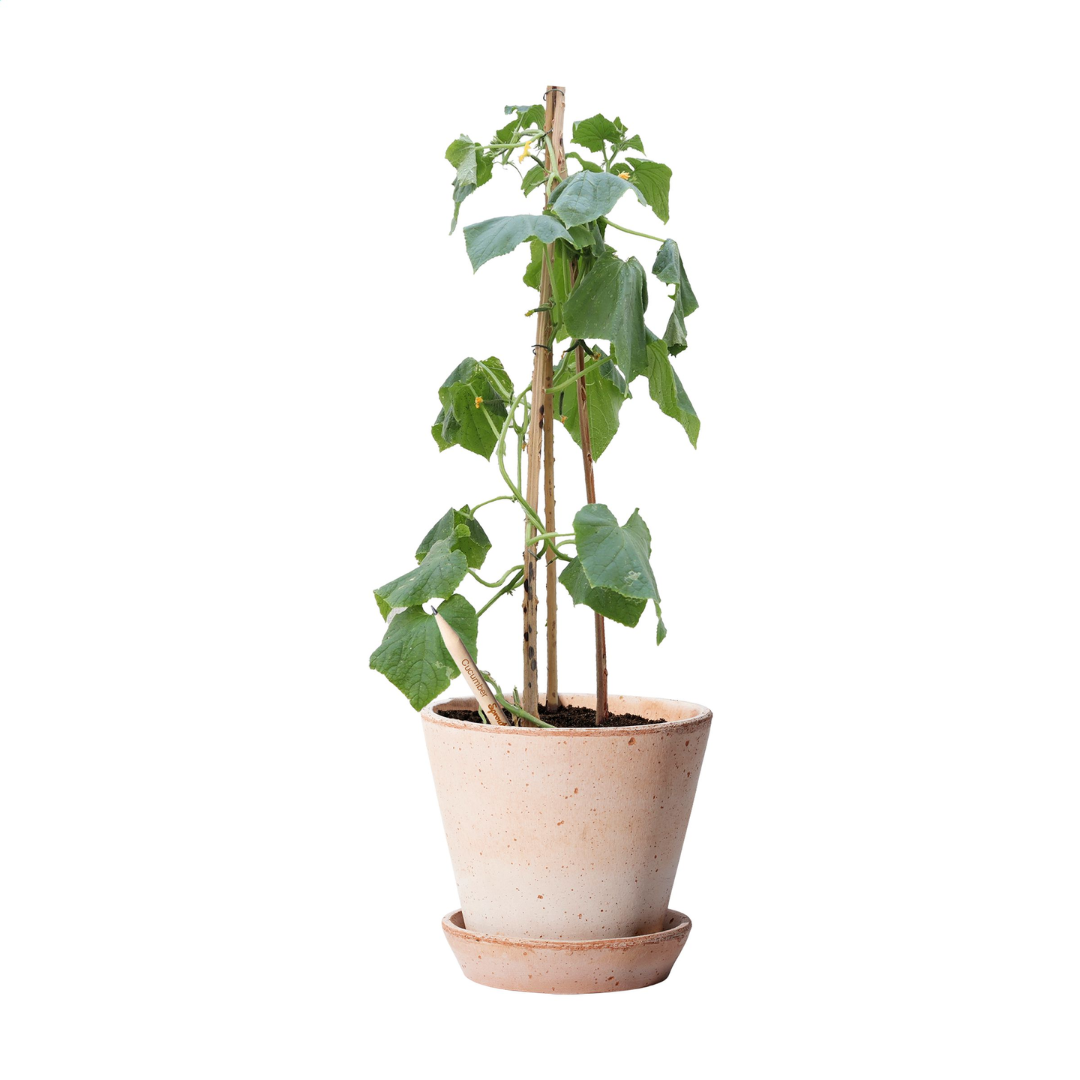 Sproutworld (UN)Sharpened Pencil - Image 15