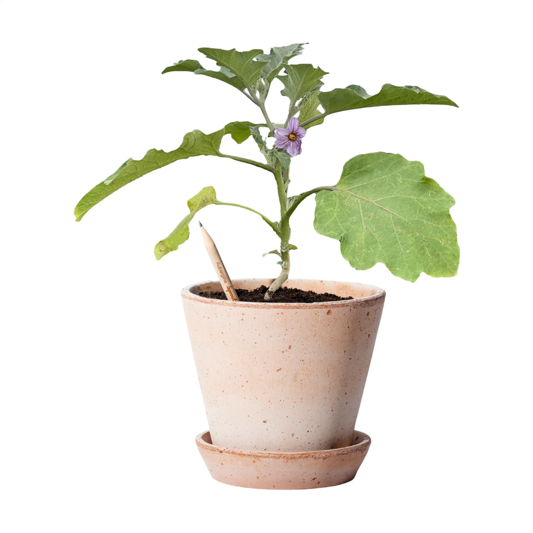 Sproutworld (UN)Sharpened Pencil - Image 19