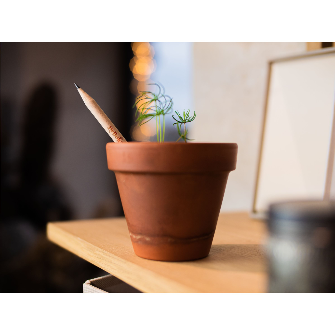 Sproutworld (UN)Sharpened Pencil - Image 4