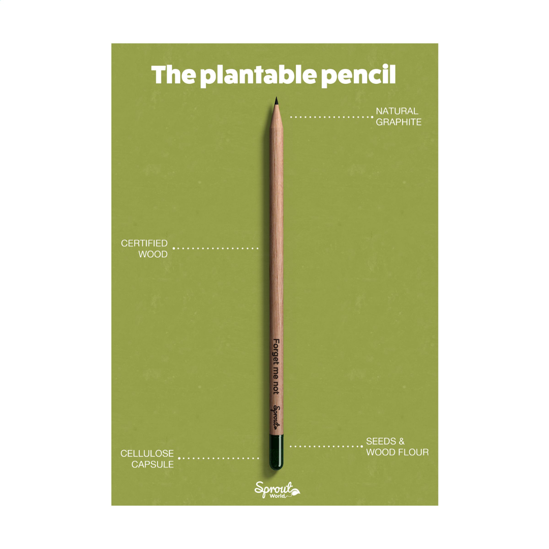 Sproutworld (UN)Sharpened Pencil - Image 7
