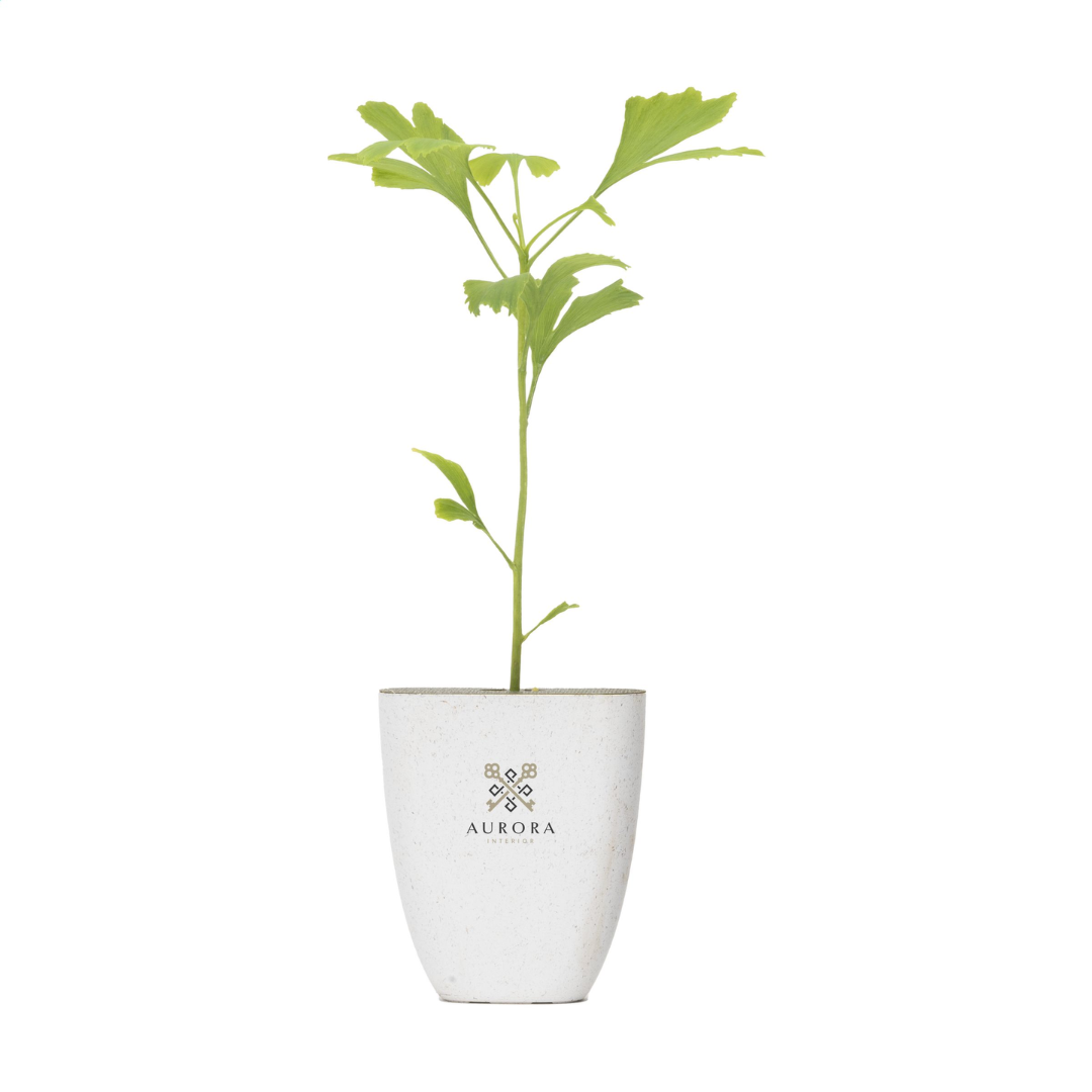 Treemore Letterbox Trees & plants - Image 2