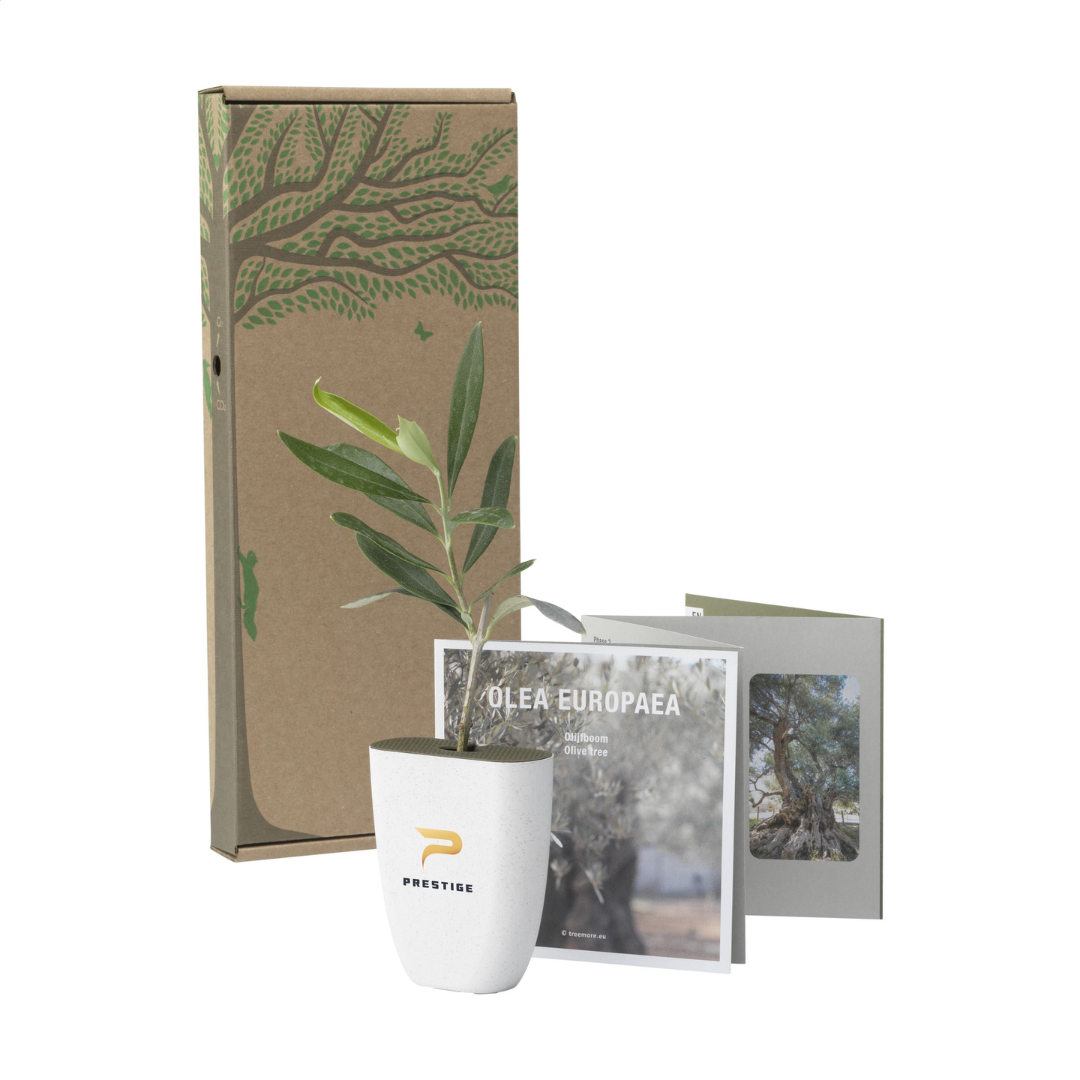 Treemore Letterbox Trees & plants - Image 13