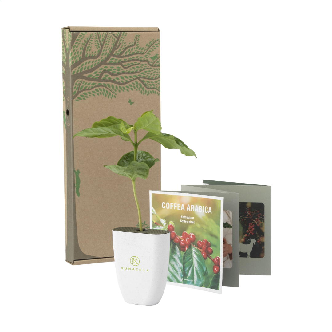 Treemore Letterbox Trees & plants - Image 15