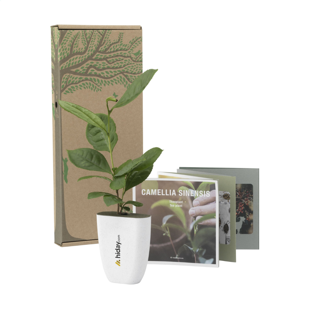 Treemore Letterbox Trees & plants - Image 16