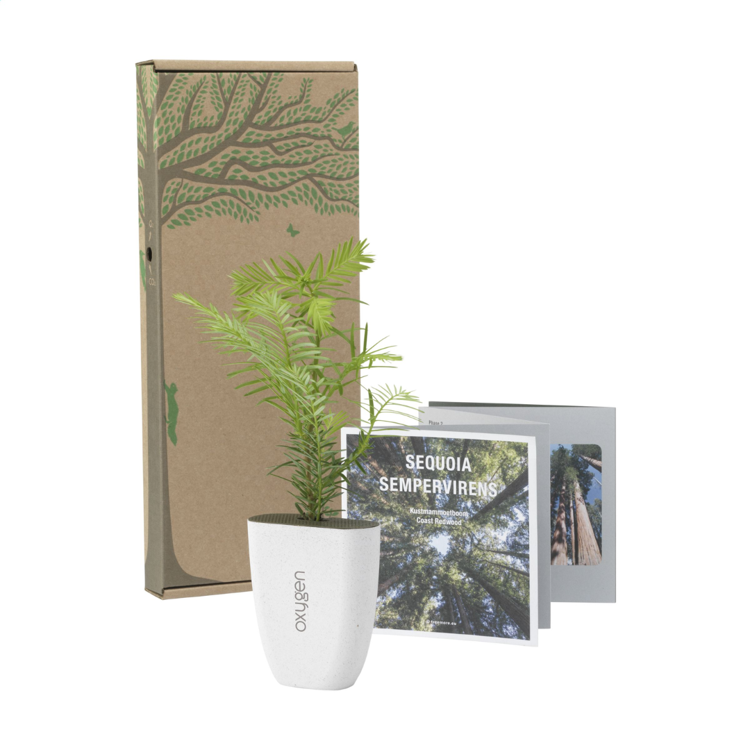 Treemore Letterbox Trees & plants - Image 17