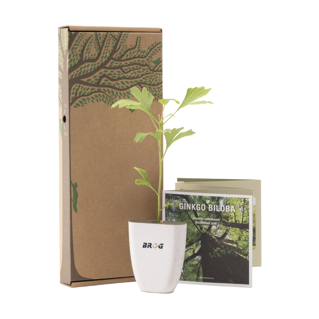 Treemore Letterbox Trees & plants - Image 3