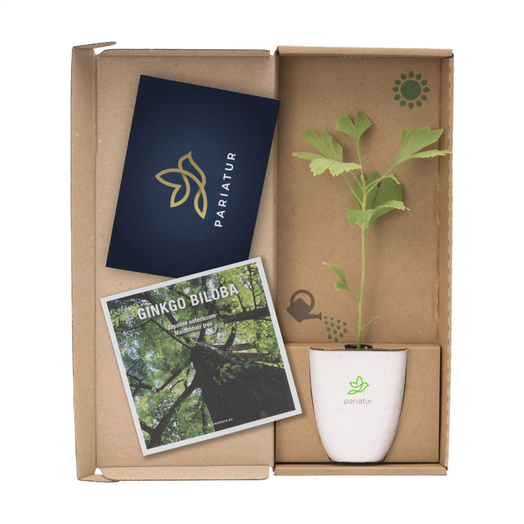 Treemore Letterbox Trees & plants - Image 4