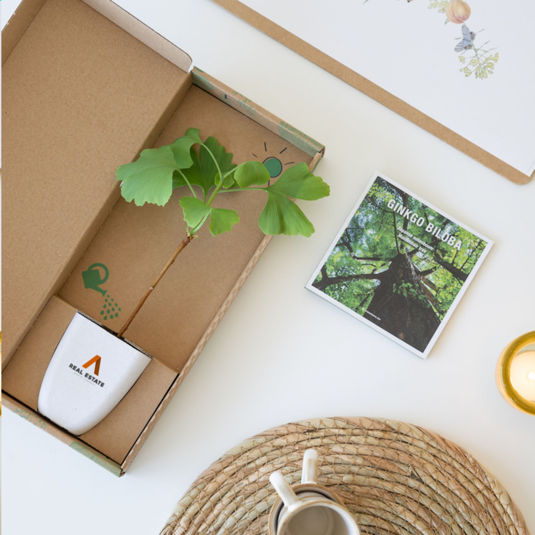 Treemore Letterbox Trees & plants - Image 7