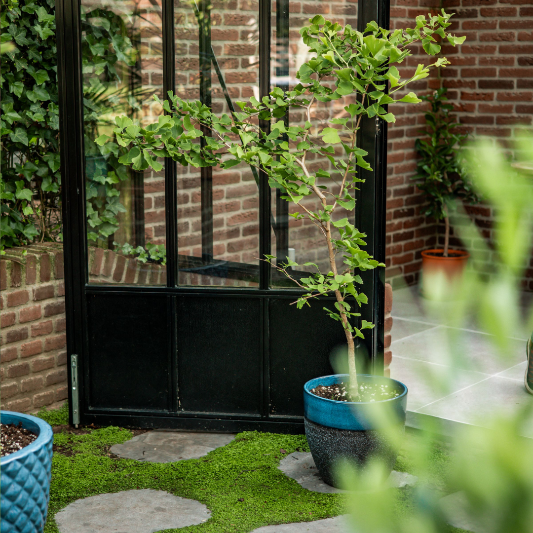 Treemore Letterbox Trees & plants - Image 9